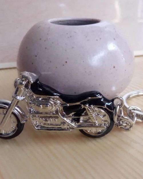 سلسله علاقة مفاتيح نموذج هارلي